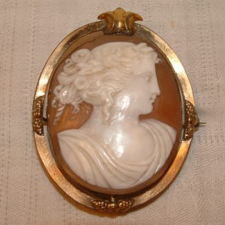 Rare Shell Cameo reversing to Mourning Photo