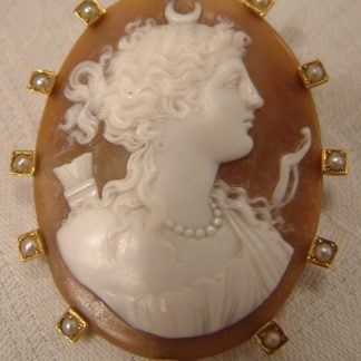 Museum Quality Carved Shell Cameo of Diana
