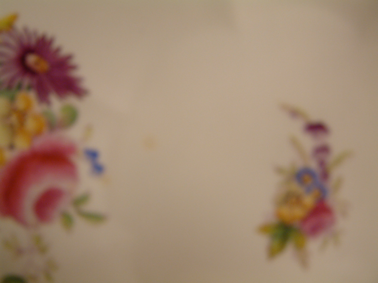 Shelley - Wileman & Co. Floral Sprays Plates SOLD - Image 5