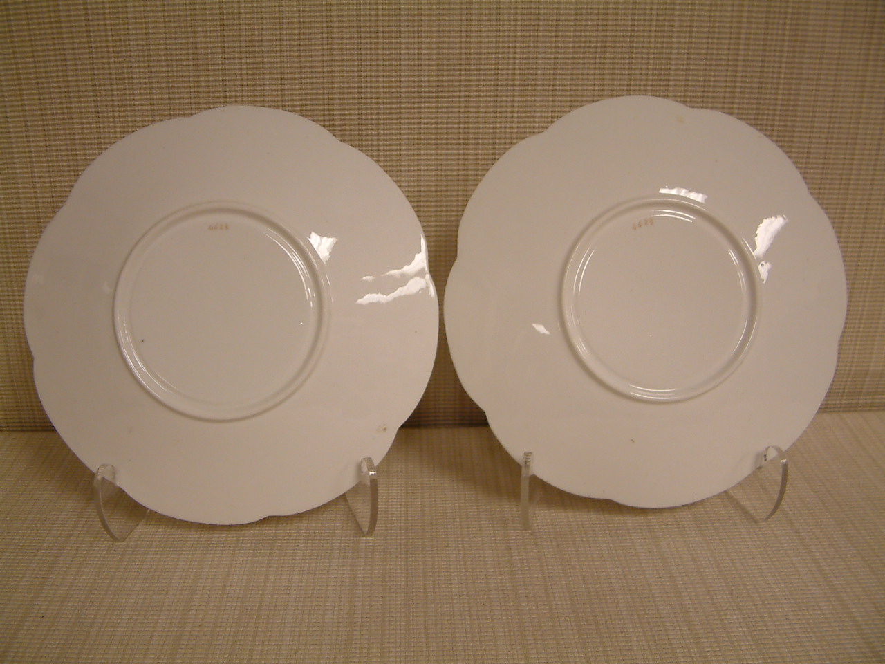 Shelley - Wileman & Co. Floral Sprays Plates SOLD - Image 8